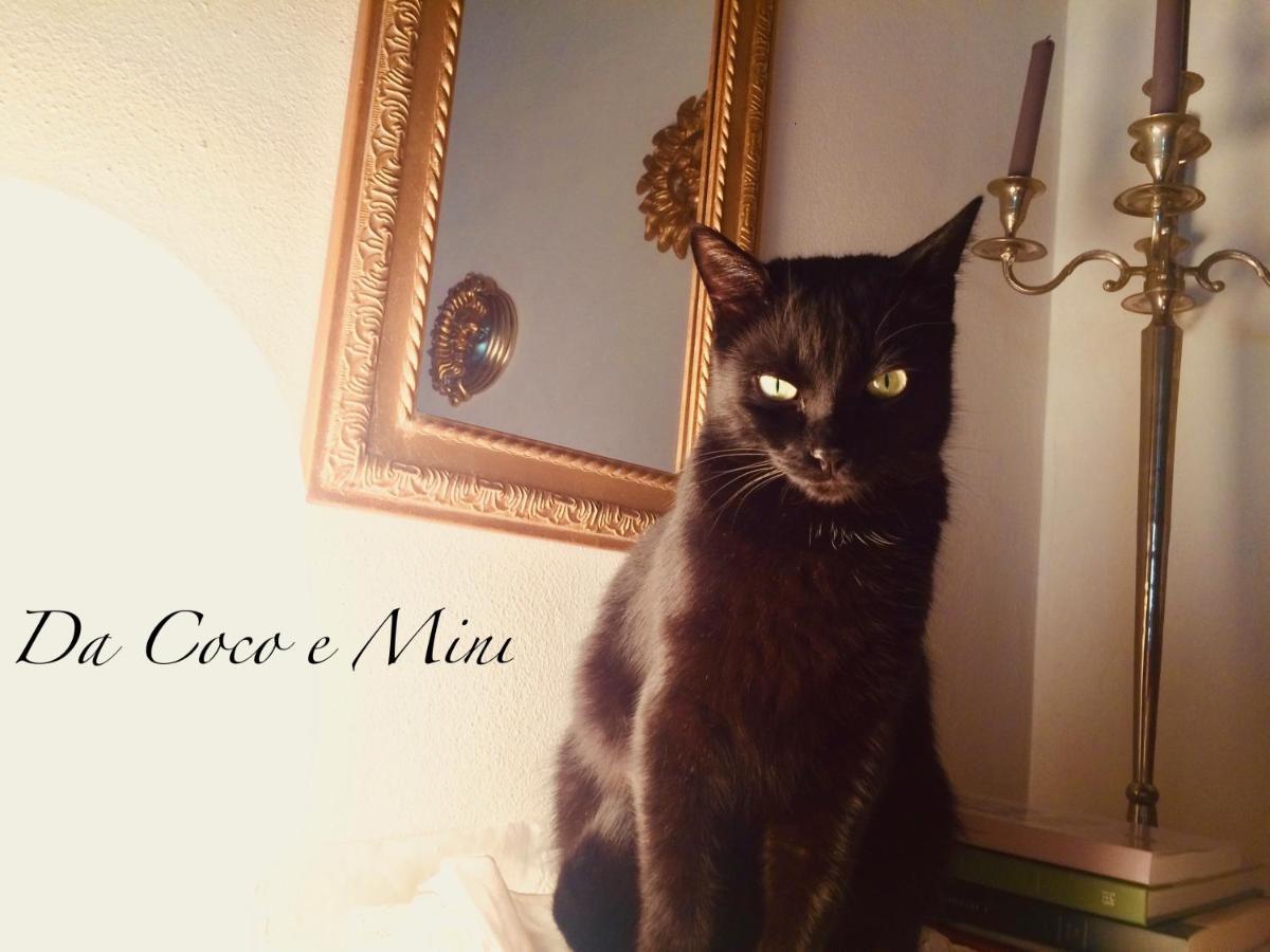 Da Coco E Mini,L'Angolo Per Ceramiste In Viaggio - Faenza Zewnętrze zdjęcie