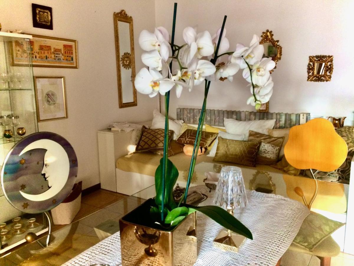 Da Coco E Mini,L'Angolo Per Ceramiste In Viaggio - Faenza Zewnętrze zdjęcie